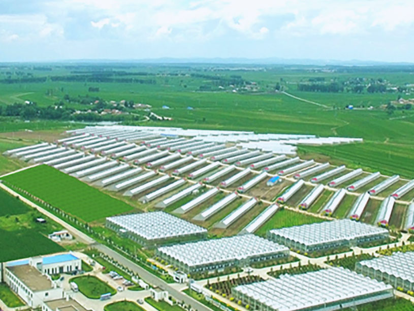 球盟会·qmh(中国)-官方网站