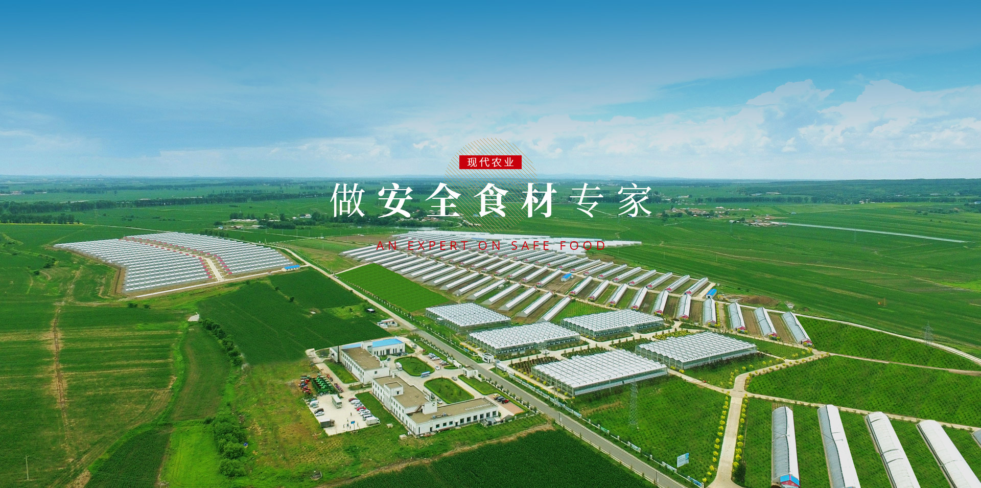 球盟会·qmh(中国)-官方网站