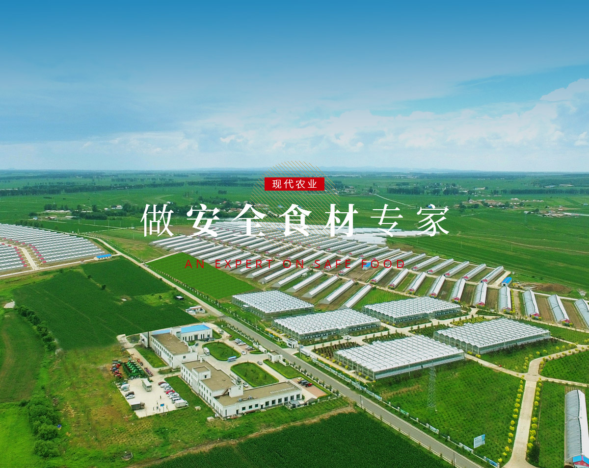 球盟会·qmh(中国)-官方网站