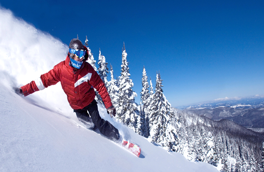 球盟会·qmh(中国)-官方网站